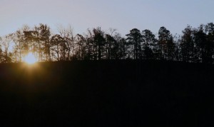 A winter sunrise looking east from the treetop loft