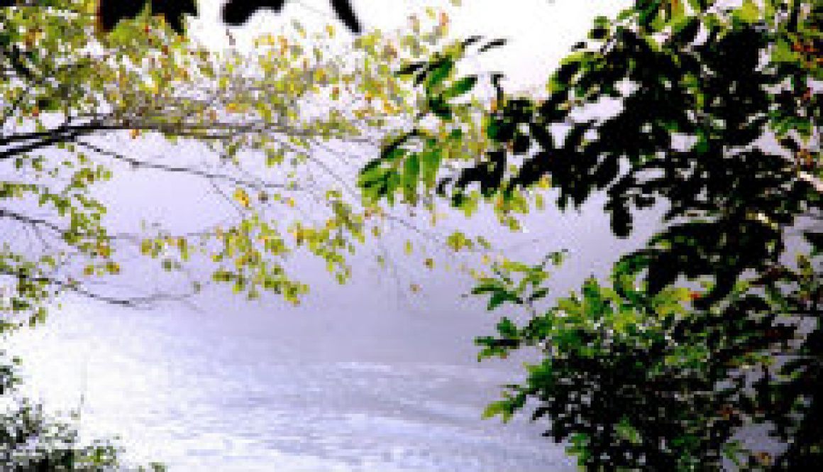 A North Fork River dawn featured A North Fork River dawn featured