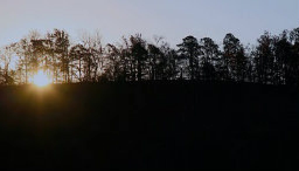 A winter sunrise looking east from the treetop loft featured