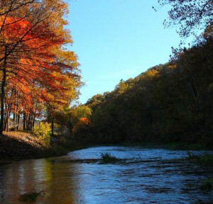 Autumn on Double Springs (aka