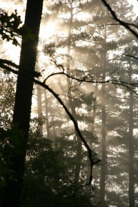 Beautiful morning sep 28 from Whispering Pines cabin