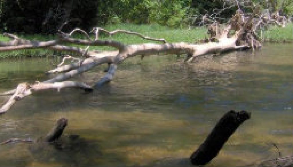 Beautiful picture of the upper river (near Hale crossing) featured