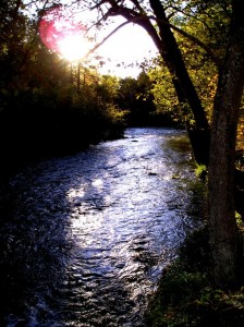 Between Topaz and Indian Creek 1990