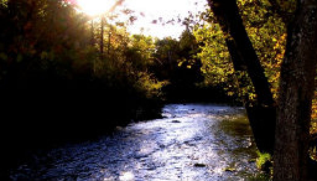 Between Topaz and Indian Creek 1990 featured