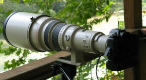 Canon 5D with 600mm L EF IS Lens at ROLF