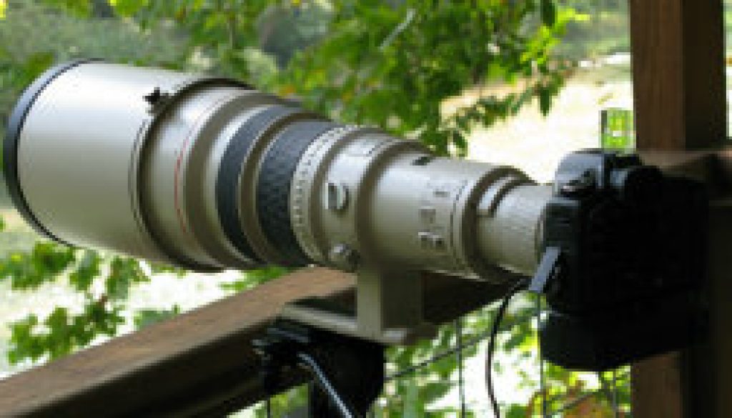 Canon 5D with 600mm L EF IS Lens at ROLF featrured