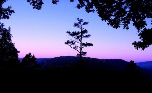 Dusk on the North Fork of the White River