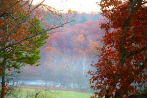 Fall view from the Treetop Loft at ROLF