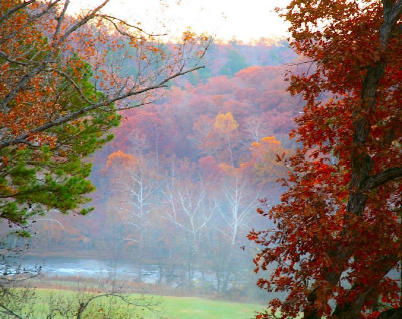 Fall view from the Treetop Loft at ROLF