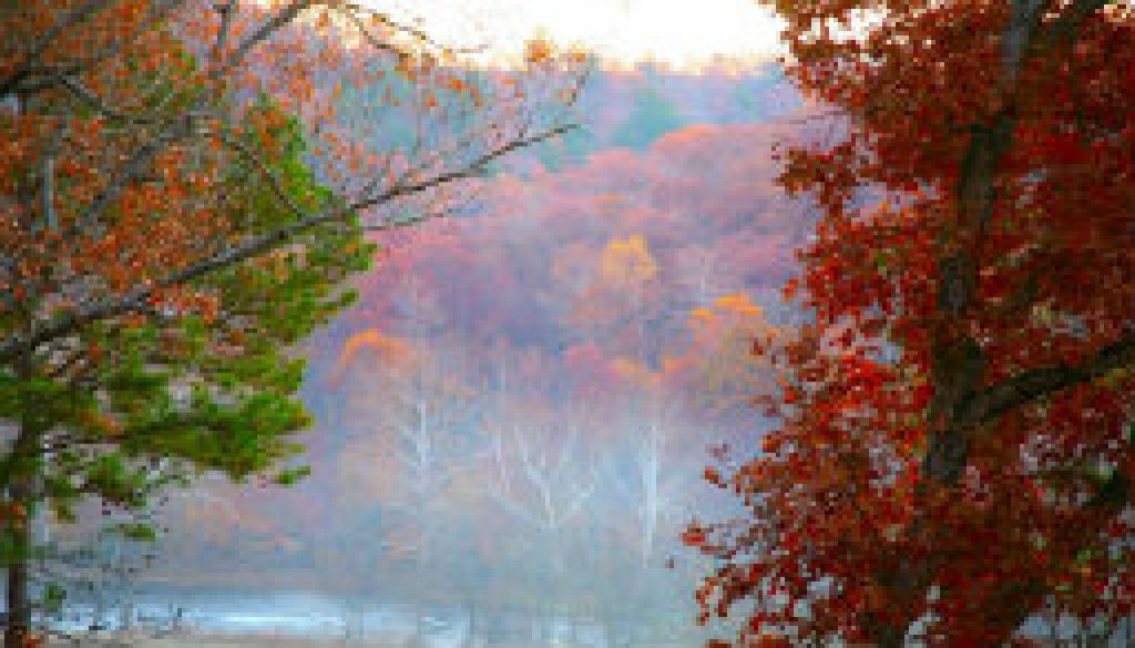 Fall view from the Treetop Loft at ROLF featuired