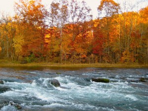 Falls just before sundown Nov6 2008