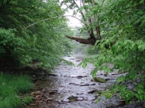 Floating the North Fork in the mid-1960's PART One of Five