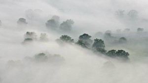 Fog off Highway H near North Fork at 6 AM