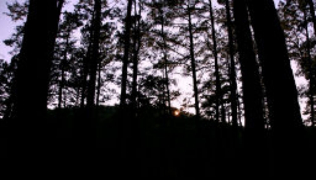 From porch of Whispering Pines looking southwest featyured