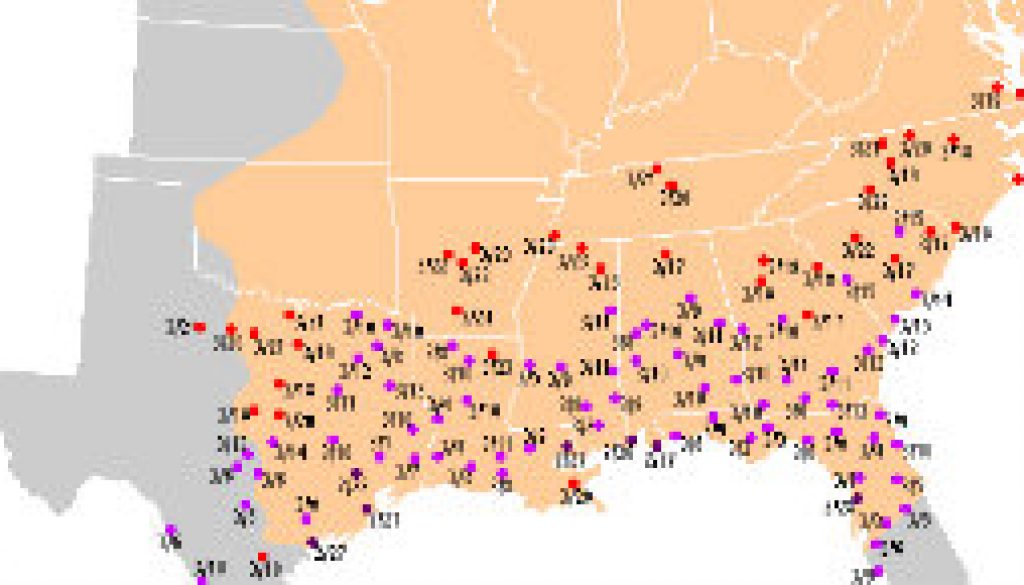 Hummingbirds migration for 2009 continues featured