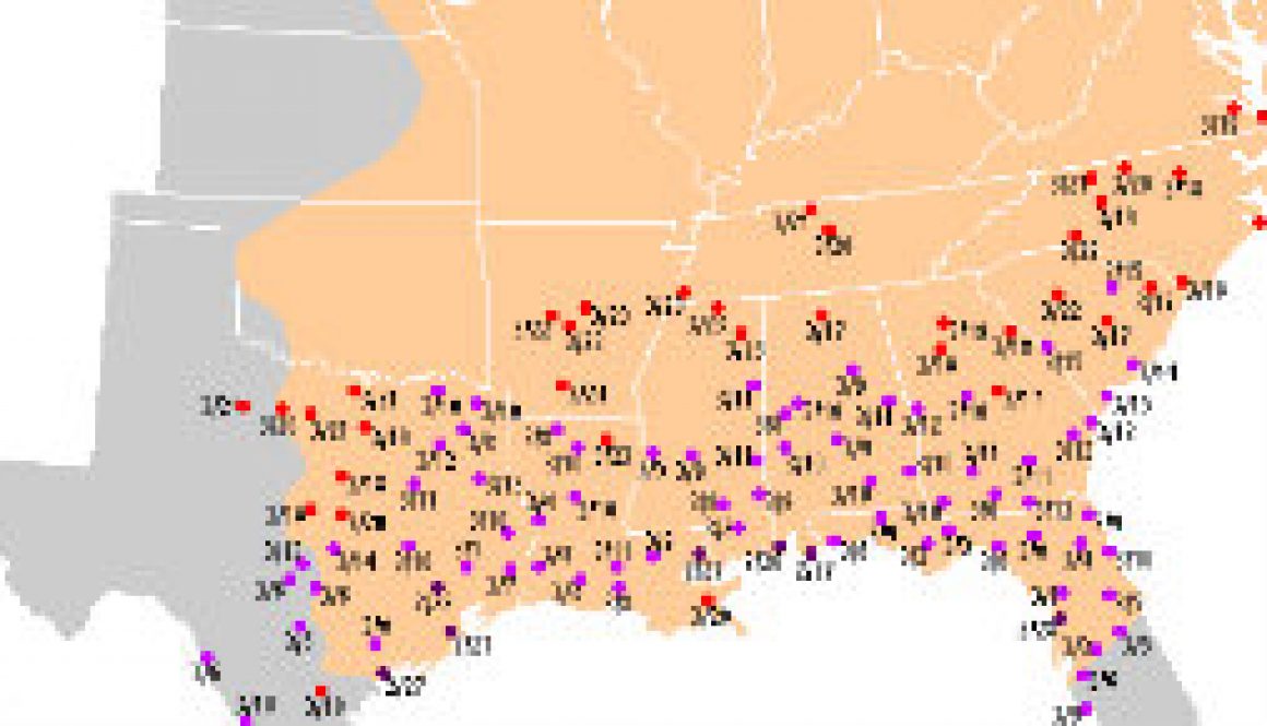 Hummingbirds migration for 2009 continues featured Hummingbirds migration for 2009 continues featured