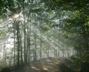 July picture near Whispering Pines