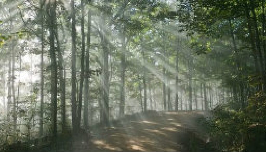 July picture near Whispering Pines featured