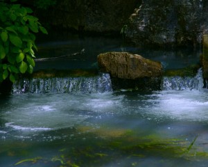 Large Spring at RockBridge in May 2009