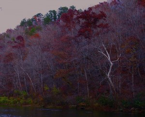 Looking upstream from the ROLF boat launch