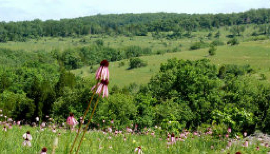 Near Caney Mountain Refuge in late May featured