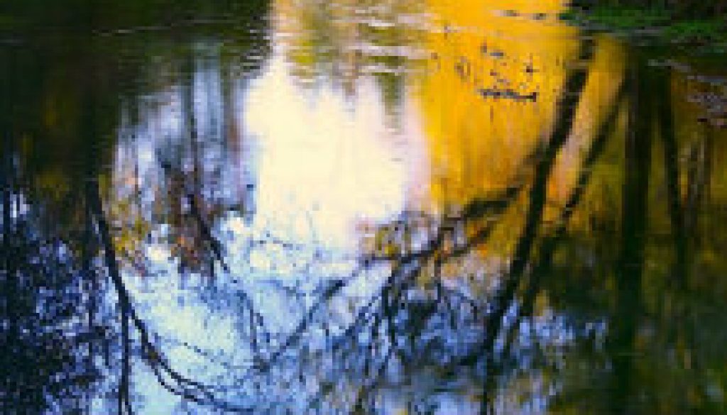 North Fork Sycamore Reflections sep 28 featured