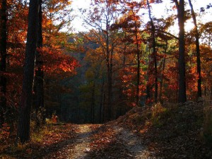 November 5th - Road to Whispering Pines