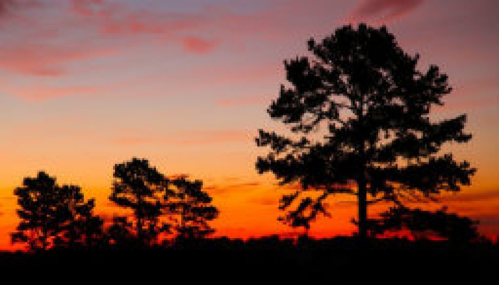 October morning at River of Life Farm featured