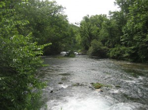 On Rainbow (south branch) looking down at North Fork