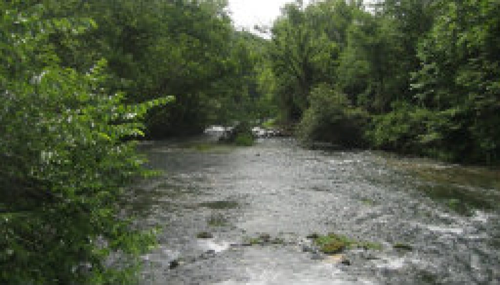 On Rainbow (south branch) looking down at North Fork featured