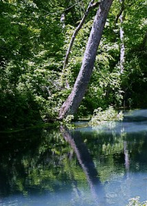 Rainbow Spring's blueish water