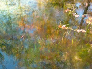 Reflections of the North Fork below Rainbow Springs