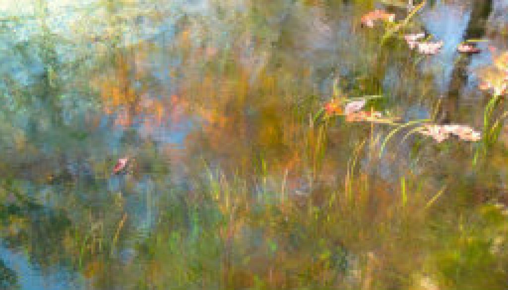 Reflections of the North Fork below Rainbow Springs featured