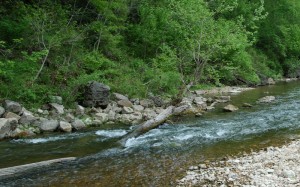 Smallmouth fly-fishing water on the upper North Fork