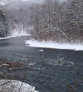 Snowy day on the North Fork