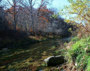 Spring Creek at Rockbridge