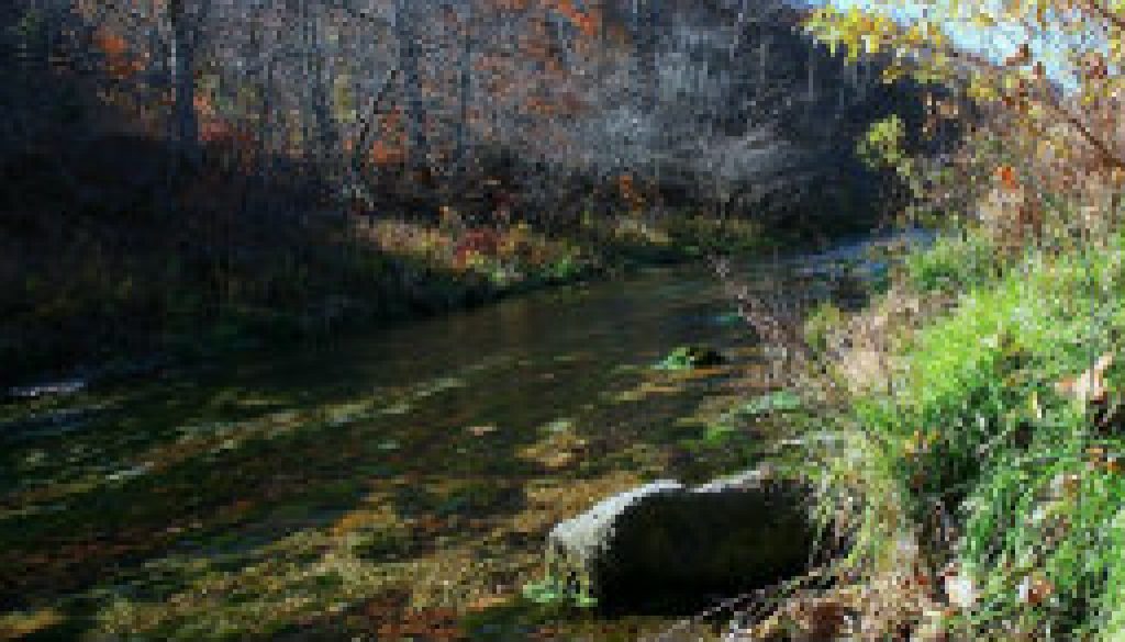 Spring Creek at Rockbridge feautured