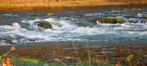 The Falls at ROLF at 410 CFS on November