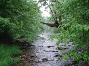 What's it like -- way up the North Fork