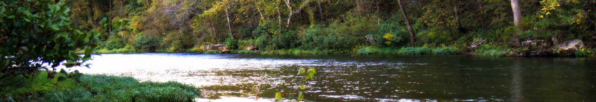 Missouri River of Life Farm Treehouse Cabins Ozarks Hiking