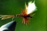 Pheasant-Tail Wulff