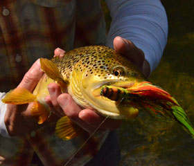 Missouri trout fishing