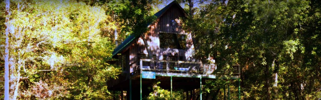 Missouri Tree House