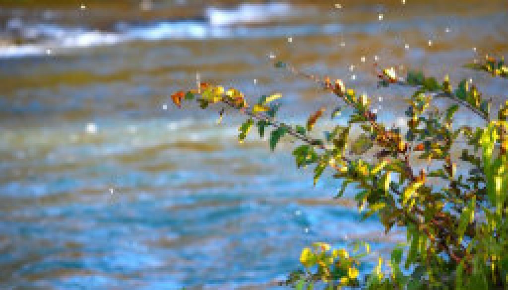 mayfly hatch in october featured