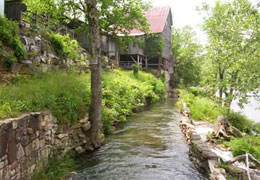 River of Life Farm Hosts Myron and Anna McKee