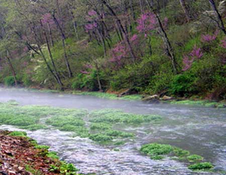 rainbow-springs-450 Missouri Rainbow Springs Fly Fishing North Fork River