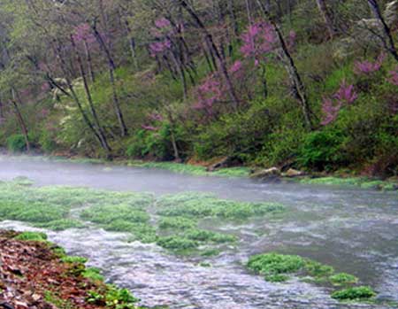 Missouri Rainbow Springs Fly Fishing North Fork River