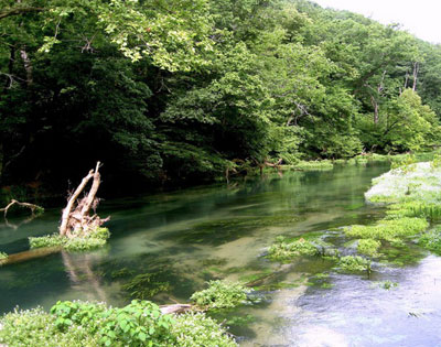 Missouri Fly Fishing North Fork River Rainbow Springs Trout fishing