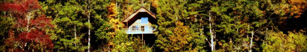 Missouri Ozarks Treehouse Cabin Vacation