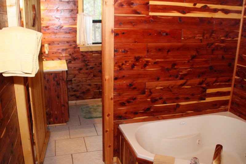 Missouri Ozarks Romantic Treehouse Cabin
